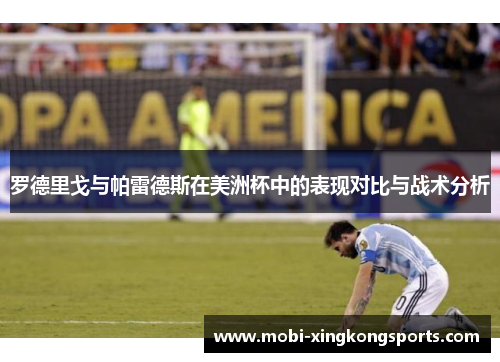 罗德里戈与帕雷德斯在美洲杯中的表现对比与战术分析