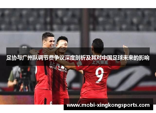 足协与广州队调节费争议深度剖析及其对中国足球未来的影响